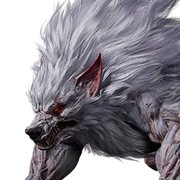 白毛狼王