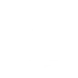 刺隐之袭