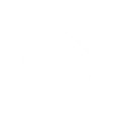 爆弹供养